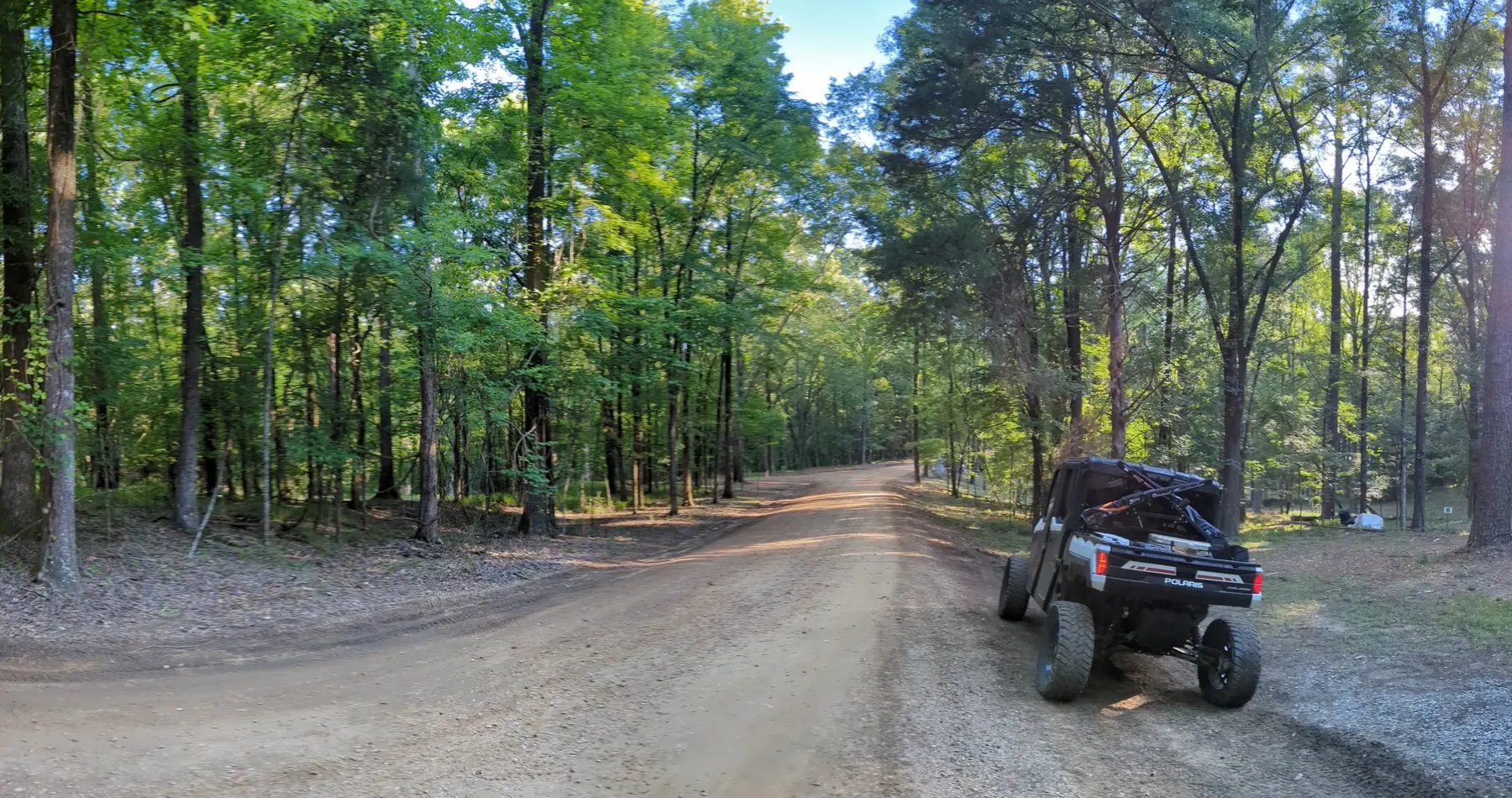 Sporting clays course road through the trees