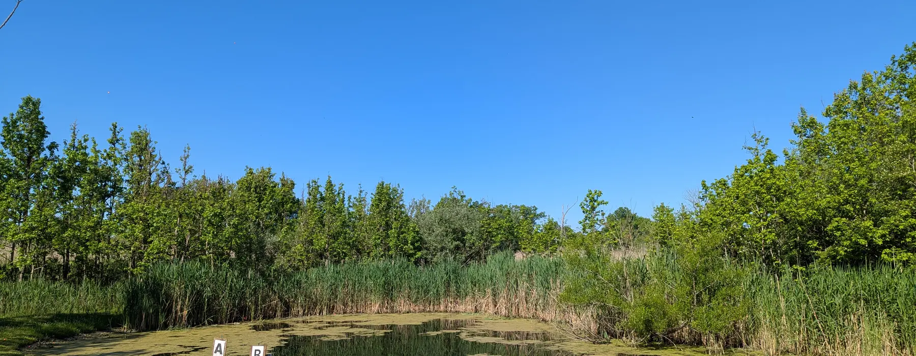 Sporting clays pond station